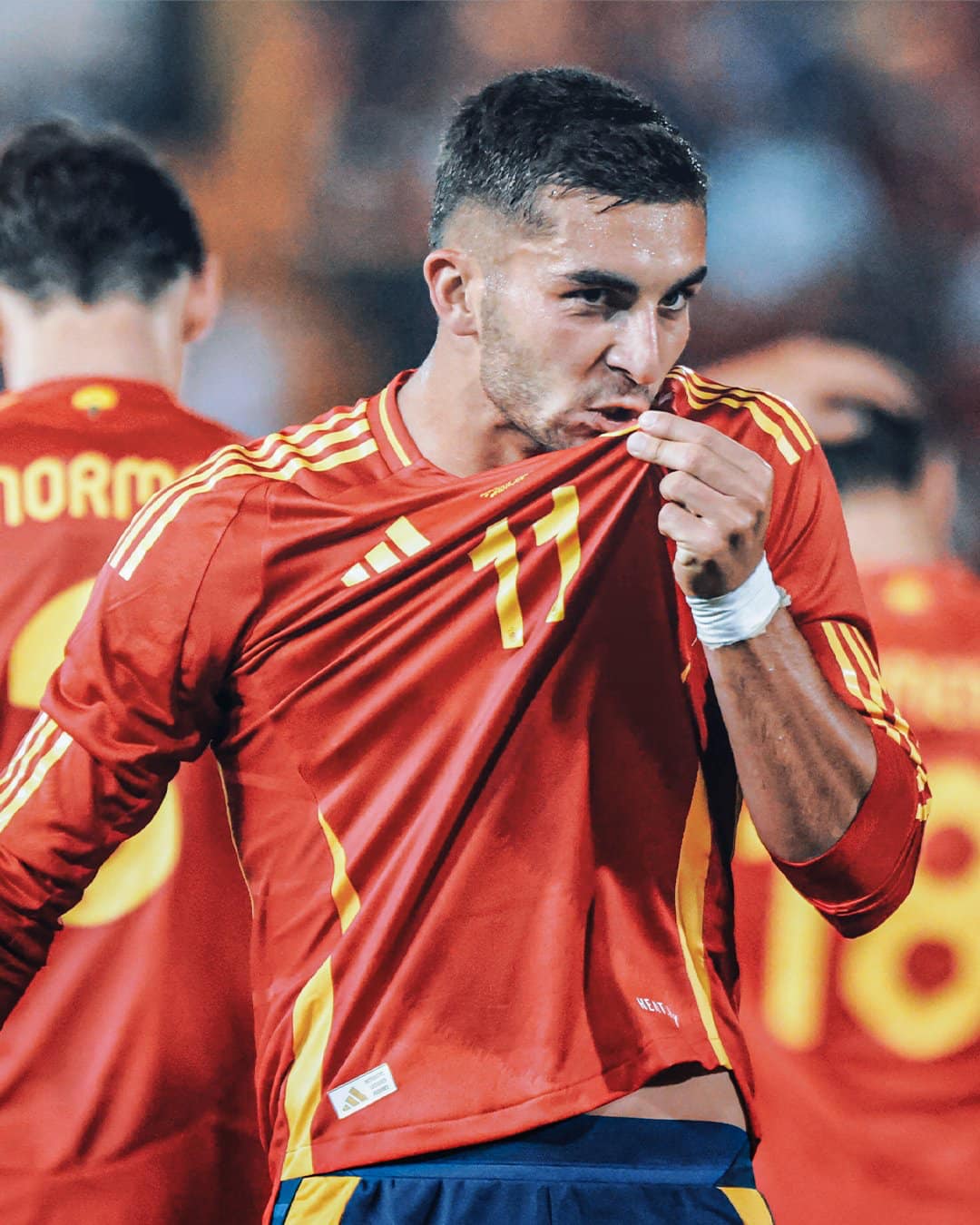 🇪🇸 Fernando Torres at EURO 2012 🔥🔥 #EURO2024