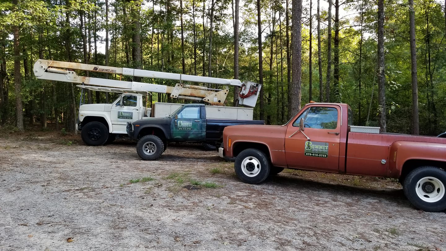 Summit Tree Service, LLC | Bremen GA