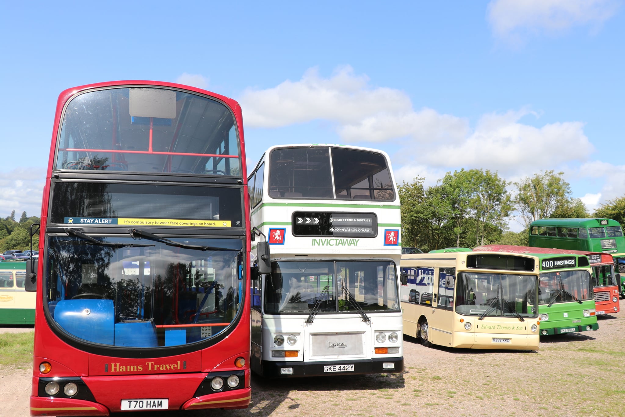 Did you see any... - Tenterden, Kent - The Jewel of the Weald