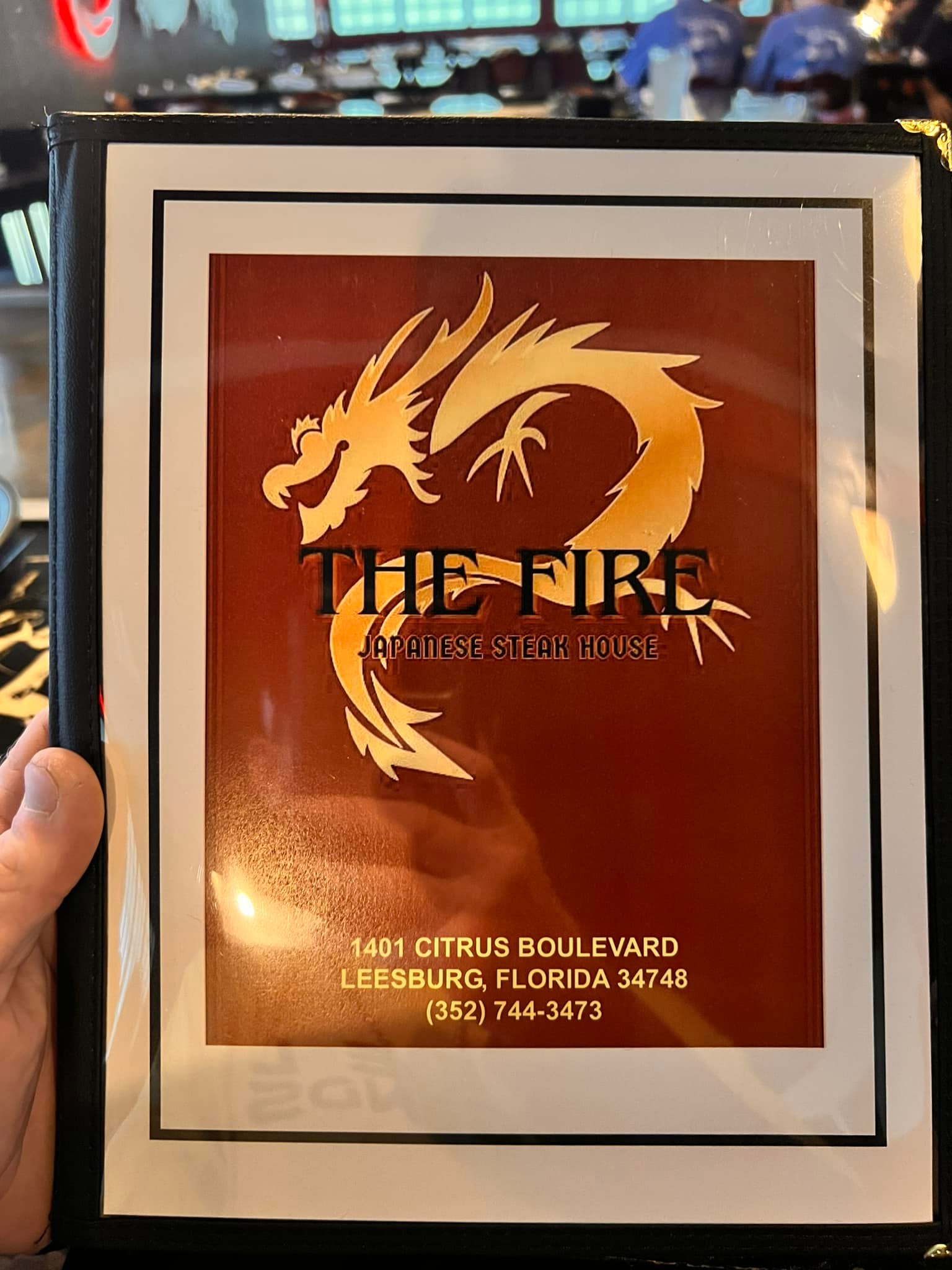 The Fire Japanese restaurant review