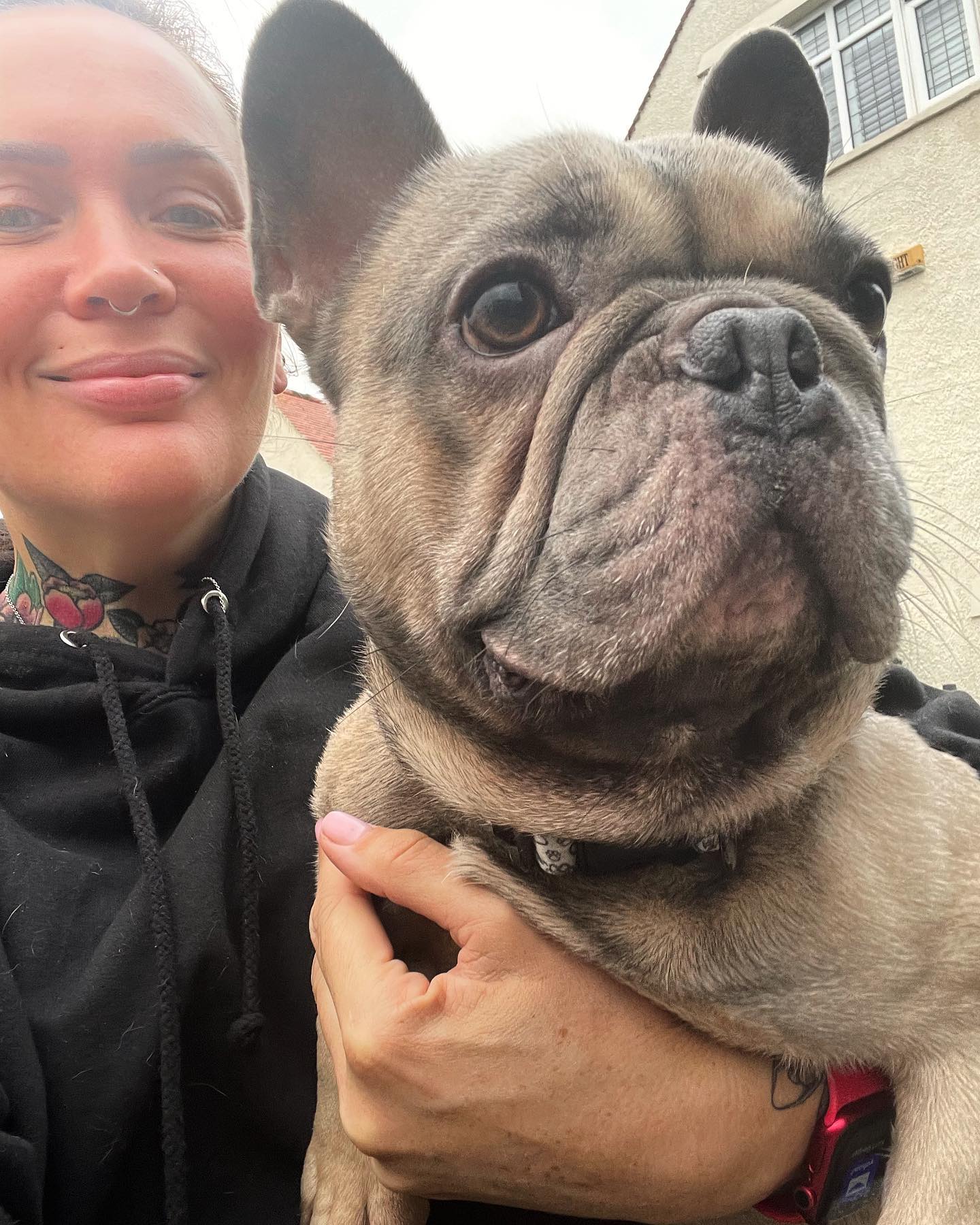 Handsome Tony is ADOPTED yay!... - Little Legs Dogs Rescue | Facebook