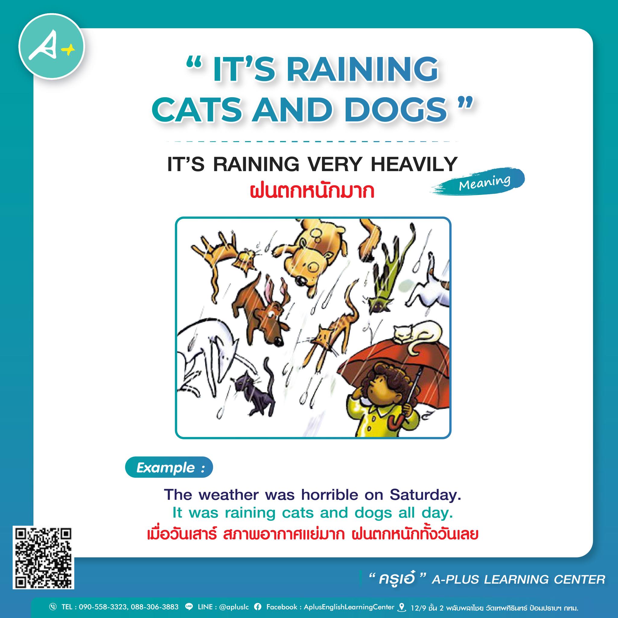 Aplus Learning Center - “It's raining cats and dogs” สำนวน “ฝนตกแมวๆ ...
