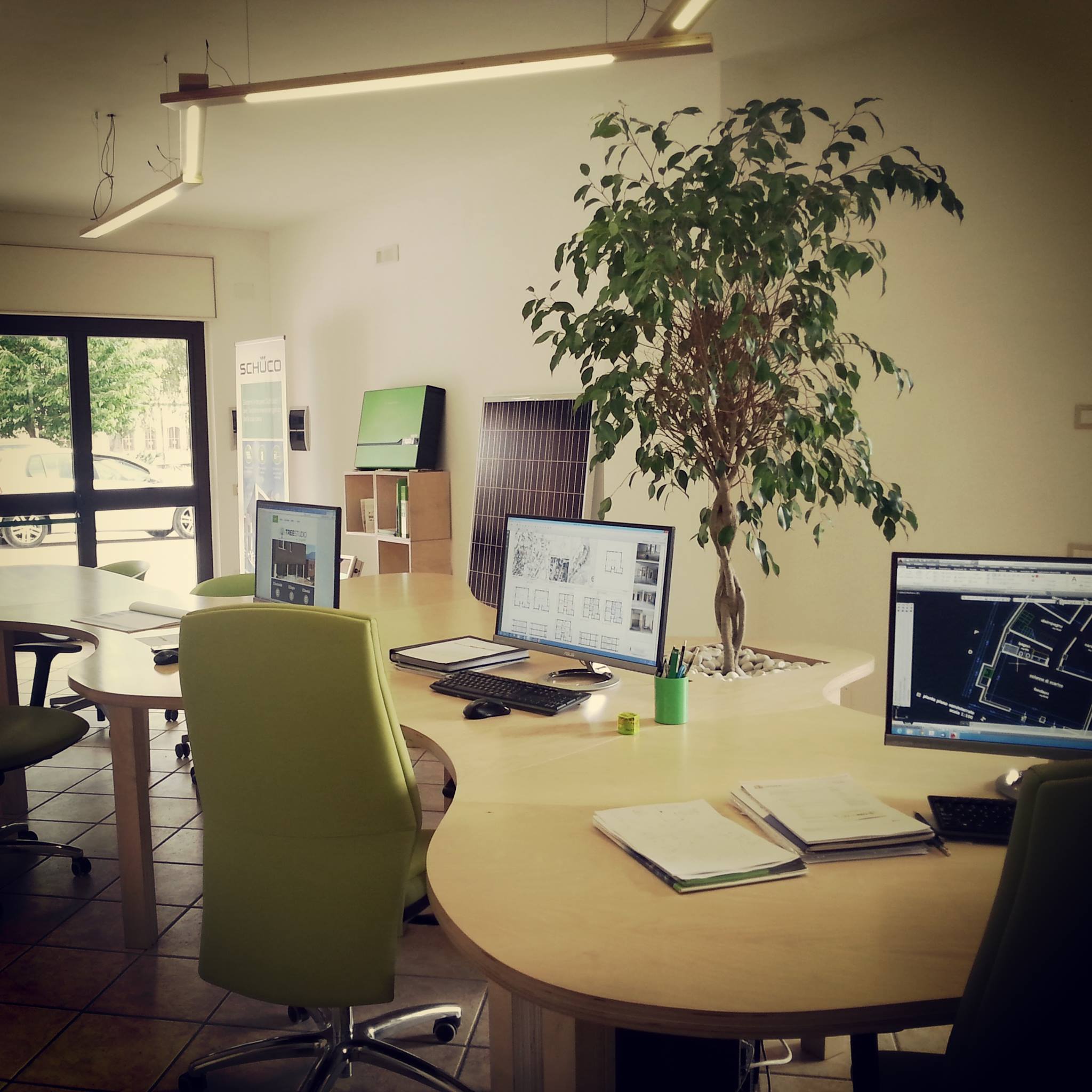 Tree Studio | Capaccio