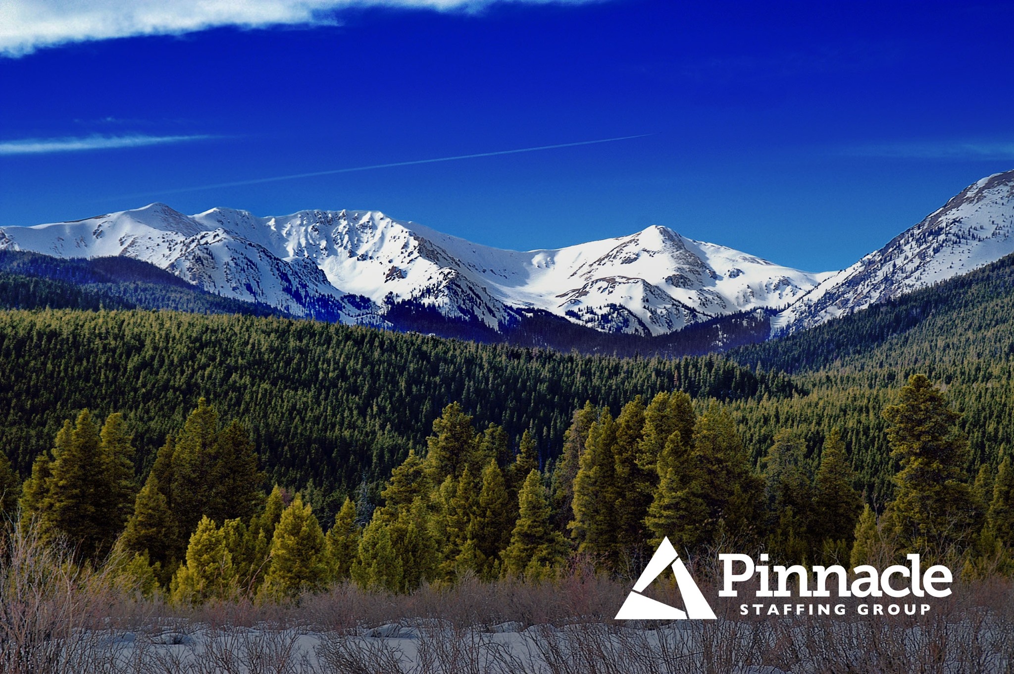 Pinnacle Staffing Group - Denver | Denver CO