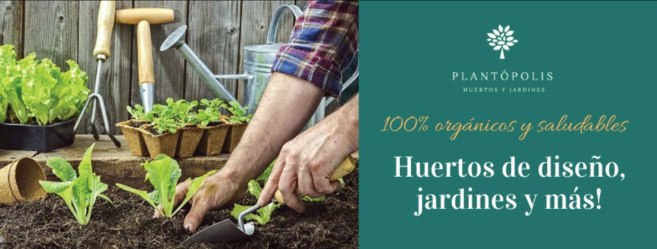 Vivero Multiplant added a new photo. - Vivero Multiplant