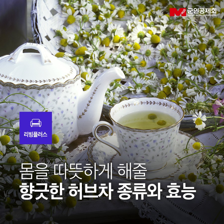 군인공제회 - 추운 날씨에 몸을 따뜻하게 해주는 허브차 종류는? 오늘 군인공제회에서는 허브차 종류와... | Facebook