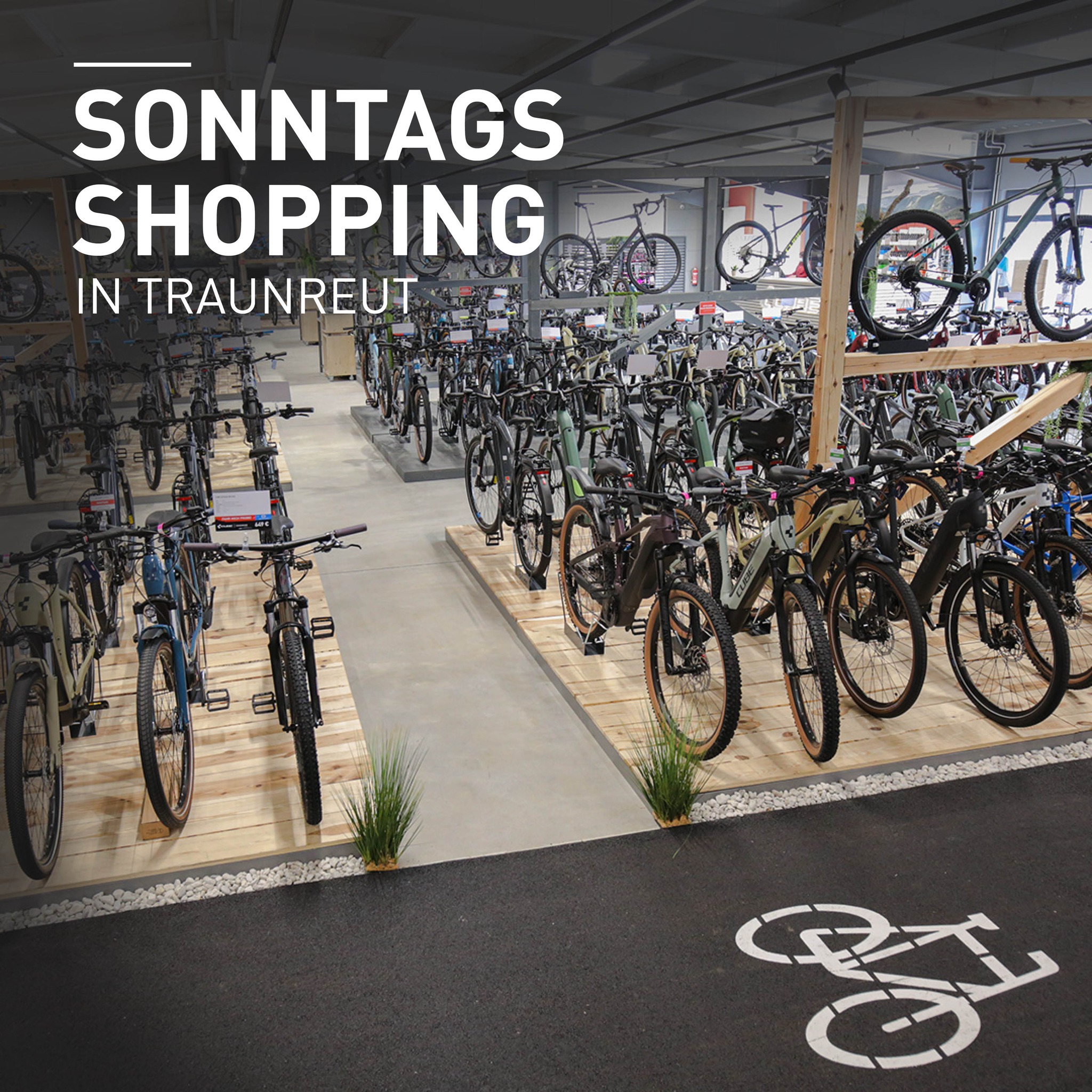 rotes damenfahrrad Hercules LYON R7 rot | 400WH | E-Bike Damen City | 2026 Menge:40x 10 L Bester E-Bike Unter 20 Category:Kinder Jugend Fahrräder_Herren