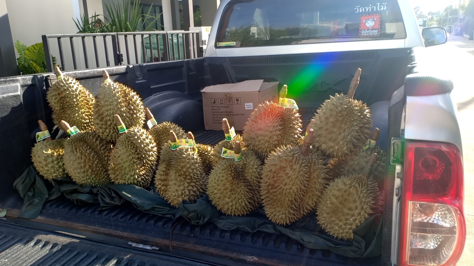 Krupon Lava Durian | Amphoe Kantharalak