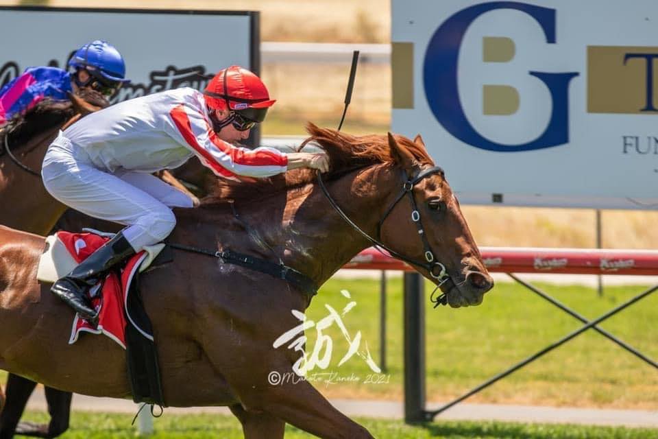 Karen Byrnes Thoroughbred Racing | Murray Bridge SA
