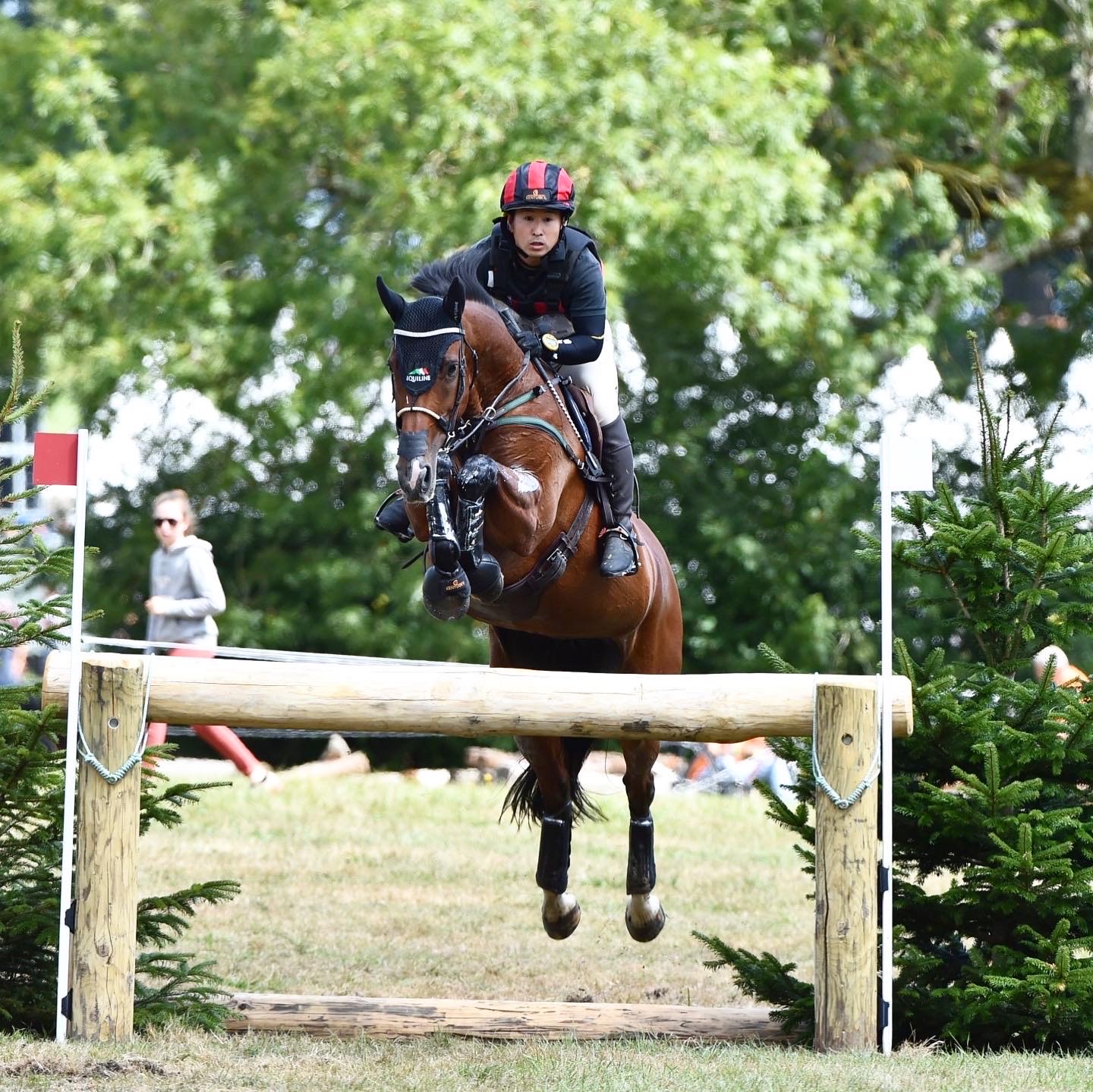 MVB Sporthorses - MVB Sporthorses added a new photo — at...