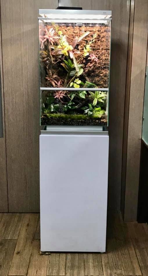 Like a scene from the... - Biopod Smart Microhabitat | Facebook