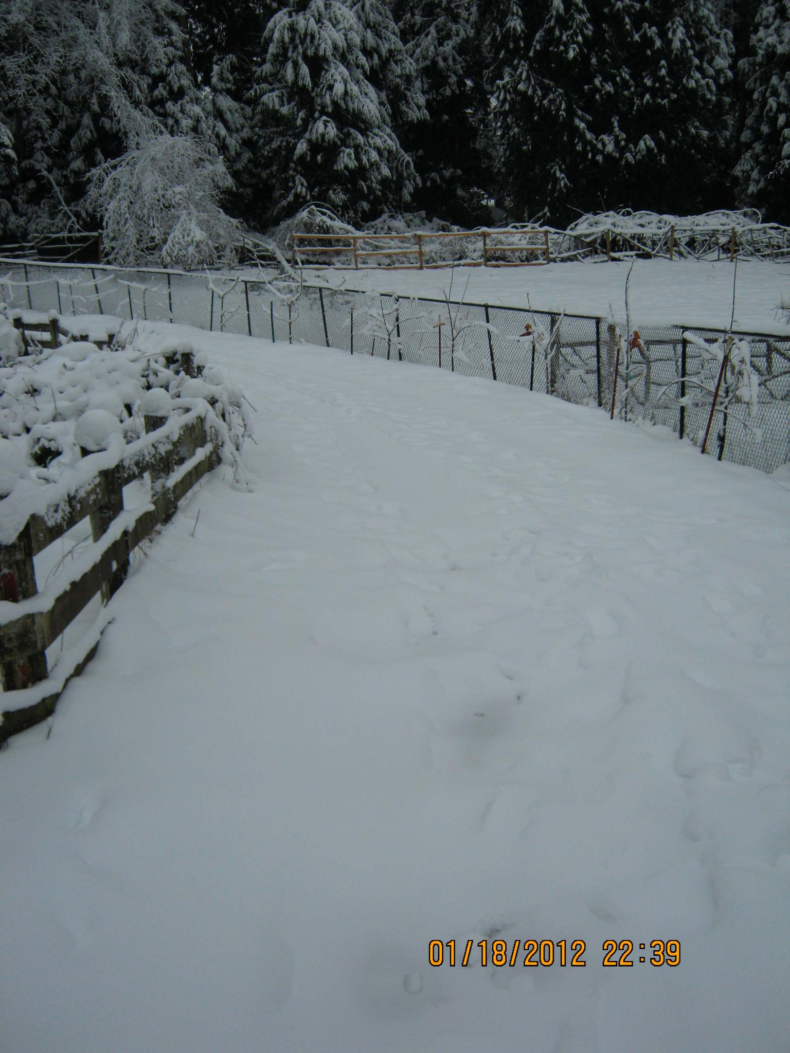 Canyon Ridge Farm | Bothell WA