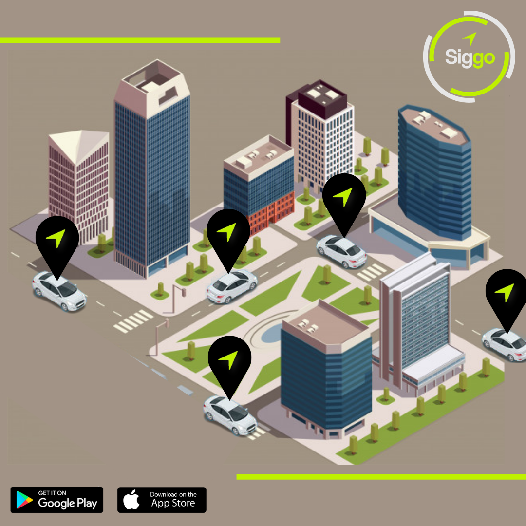 Siggo Drive | Zapopan