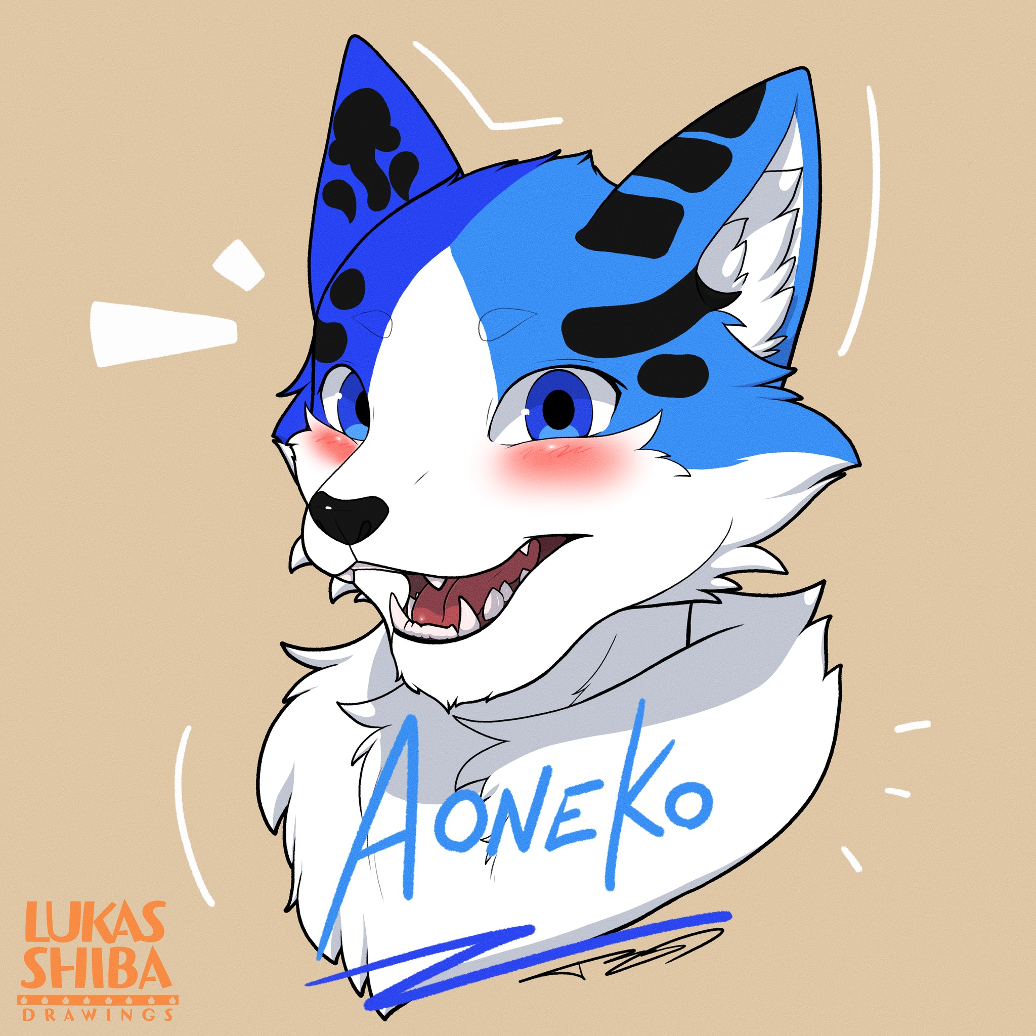 Lk_fur Drawings