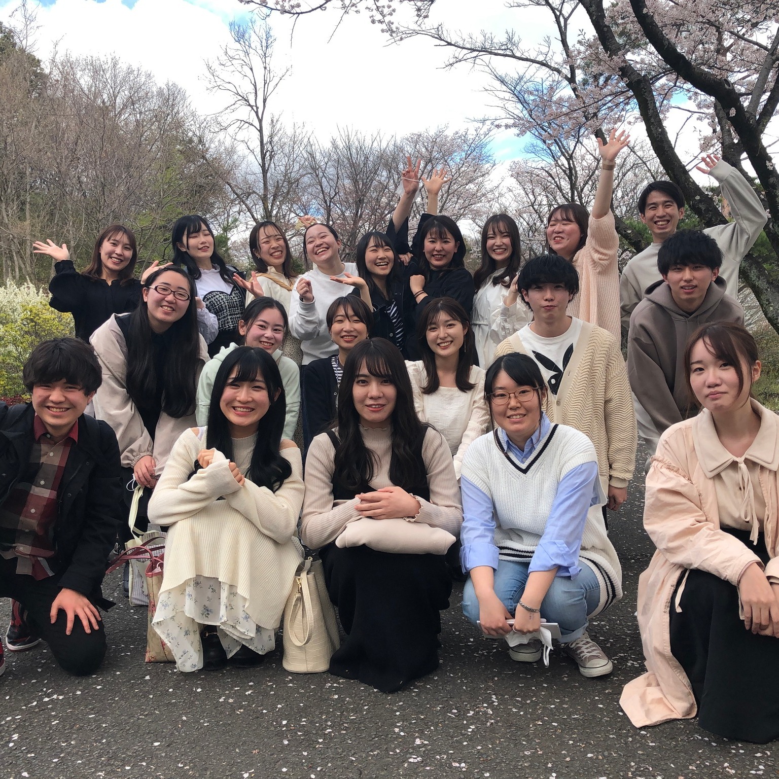 東京薬科大学 2015年度 【公式通販】