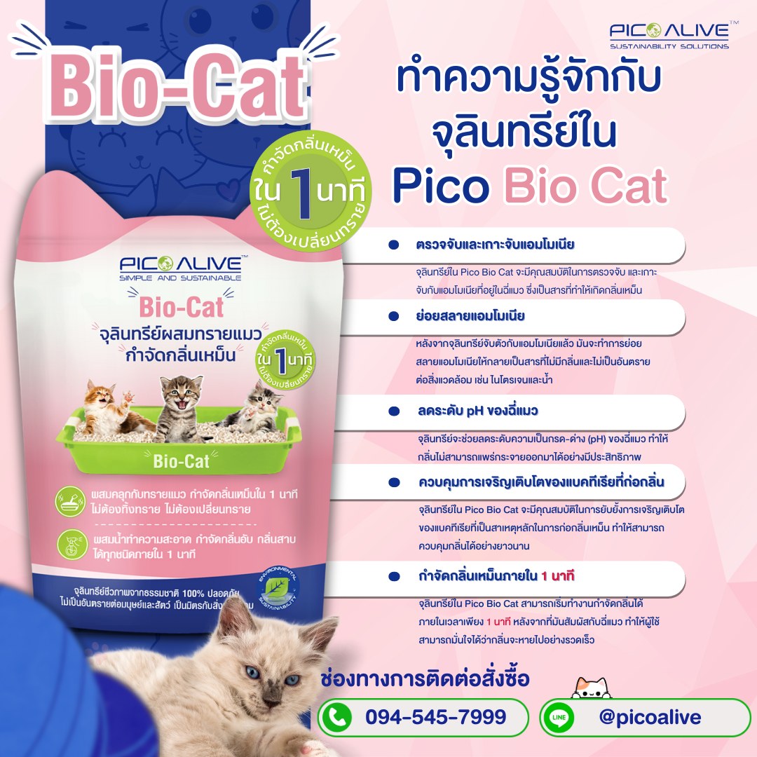 Bio Cat ไบโอแคท - ทำความรู้จักกับจุลินทรีย์ที่ทรงพลังใน...