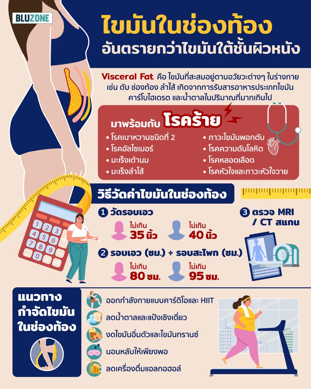 Bluzone - Visceral Fat ไขมันในช่องท้อง... | Facebook