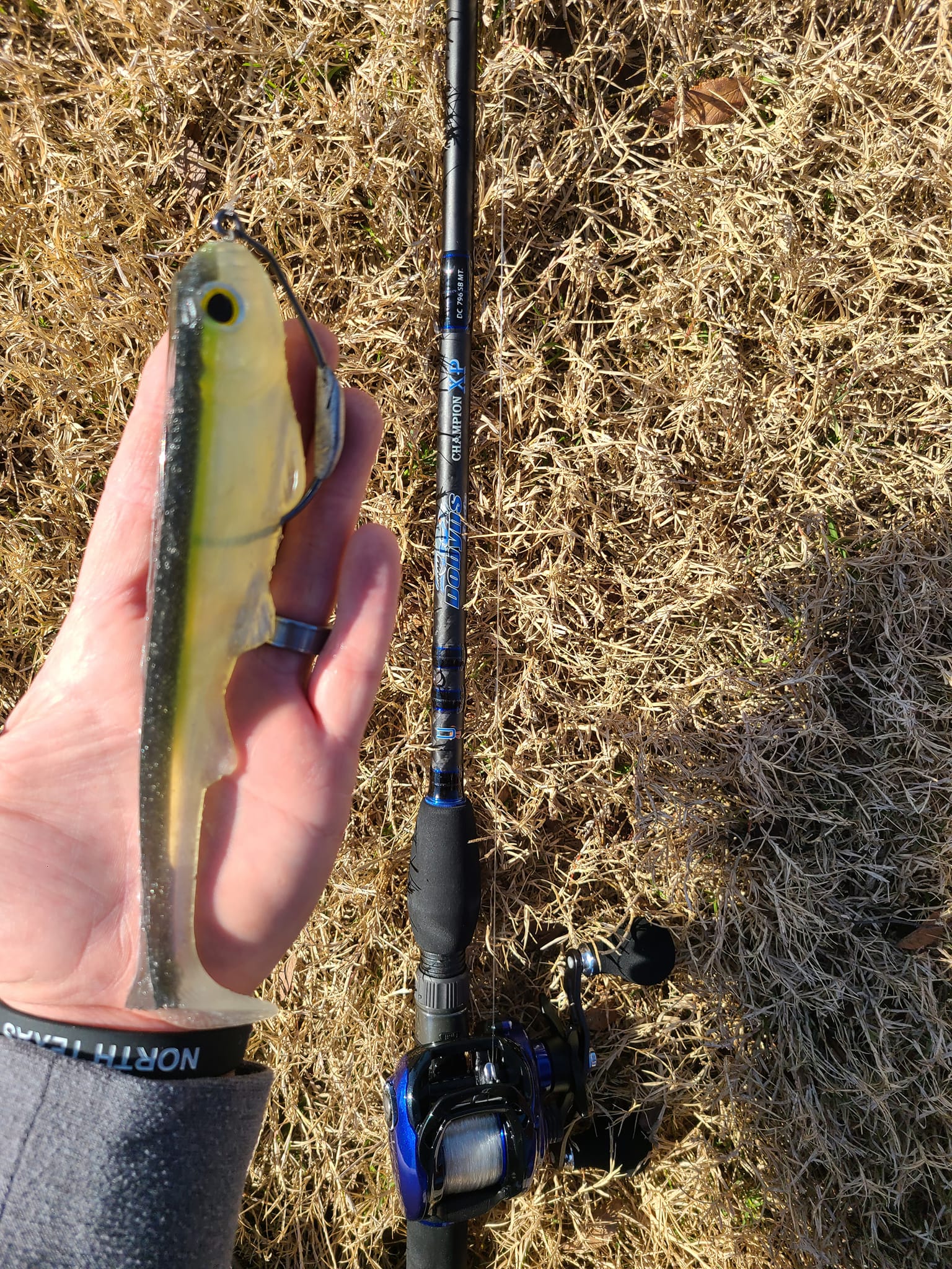 dobyns champion jig rod Kaden Series Spinning which includes over 50 rods Dobyns Rods- CHAMPION XP Series