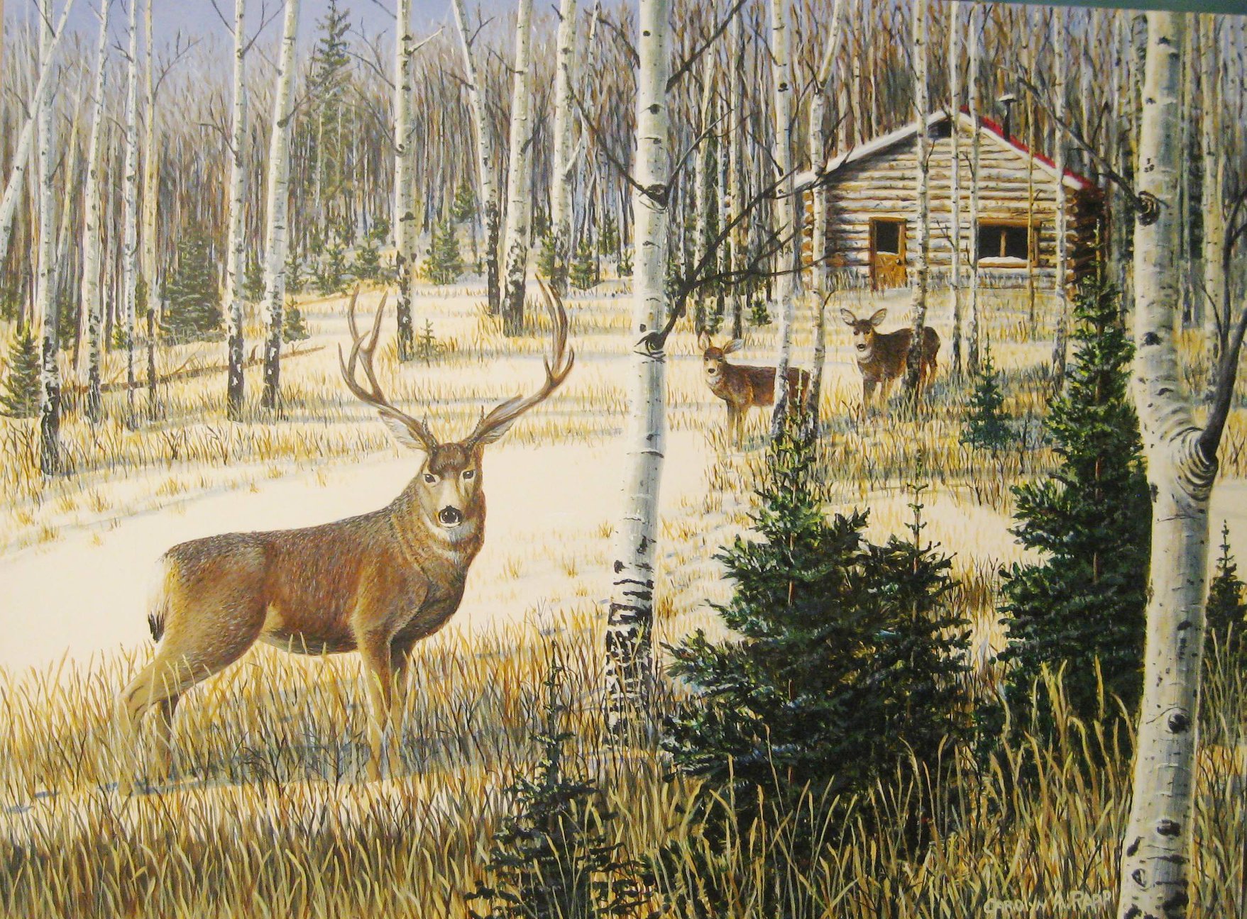 Carolyn Rapp