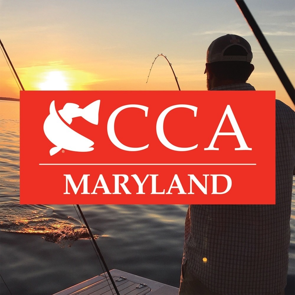 🎣 What a week it’s been, and we’re not slowing down! 🦪 What a night in ...