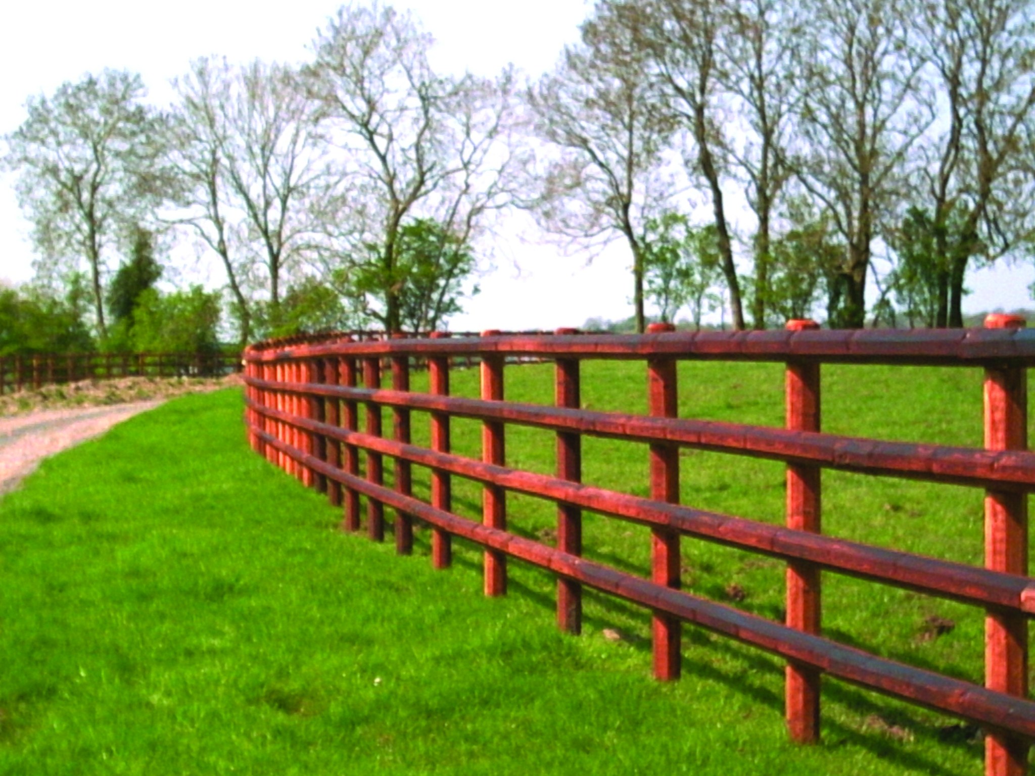 Loughwood - Great photo of a 4 rail fence using Octo posts and rails. # ...