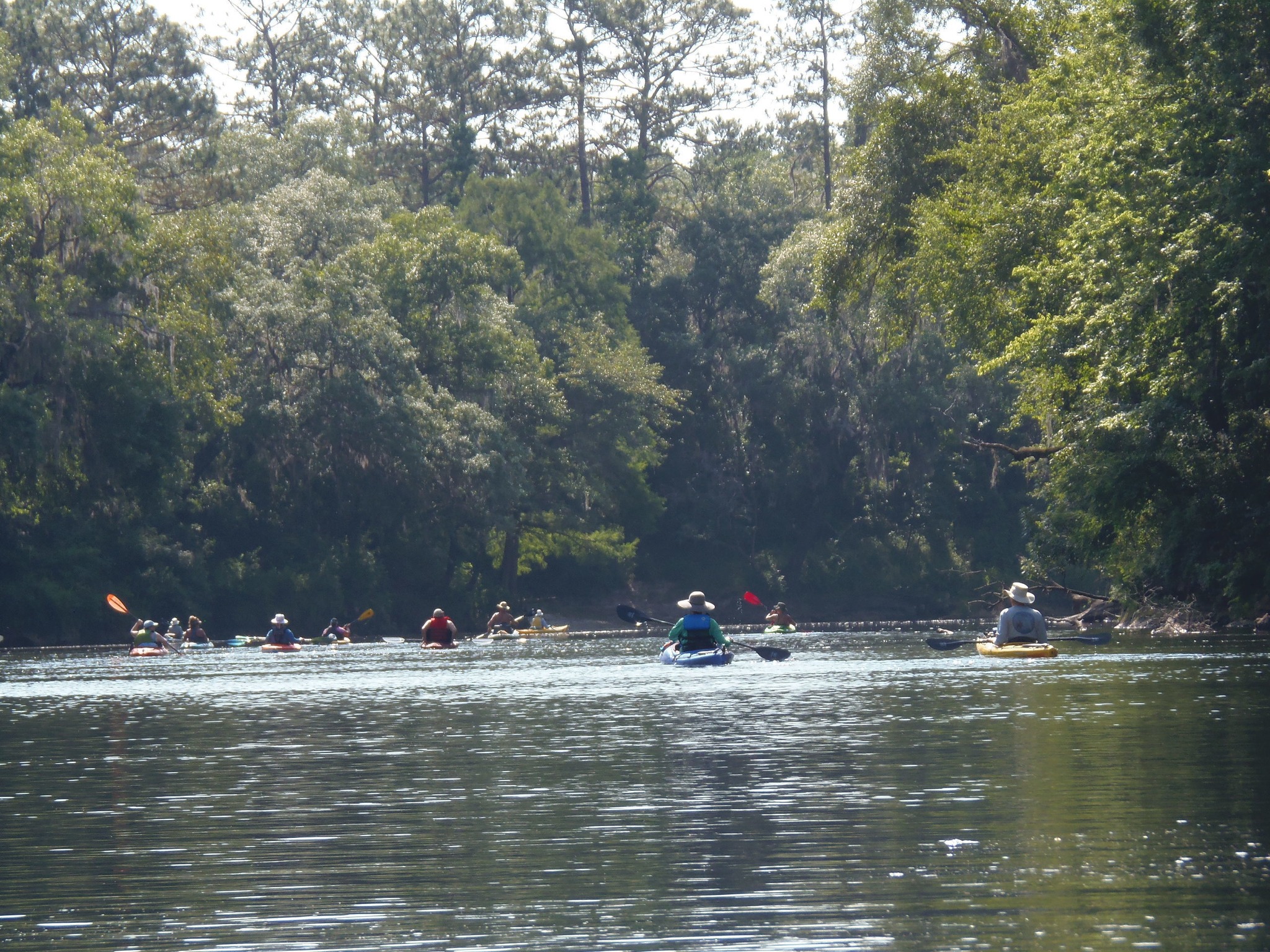 Pictur... - WWALS Watershed Coalition is Suwannee Riverkeeper