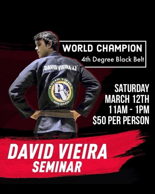 Alexander Viera 柔術 DVD BJJ Alexander Viera 柔術 DVD BJJ