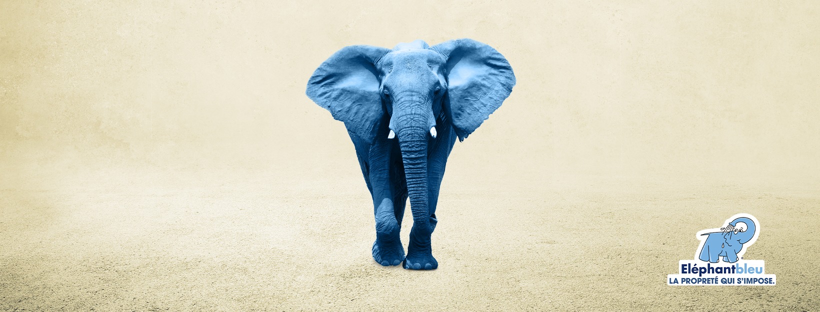Combien De Temps Dure Un Jeton Elephant Bleu