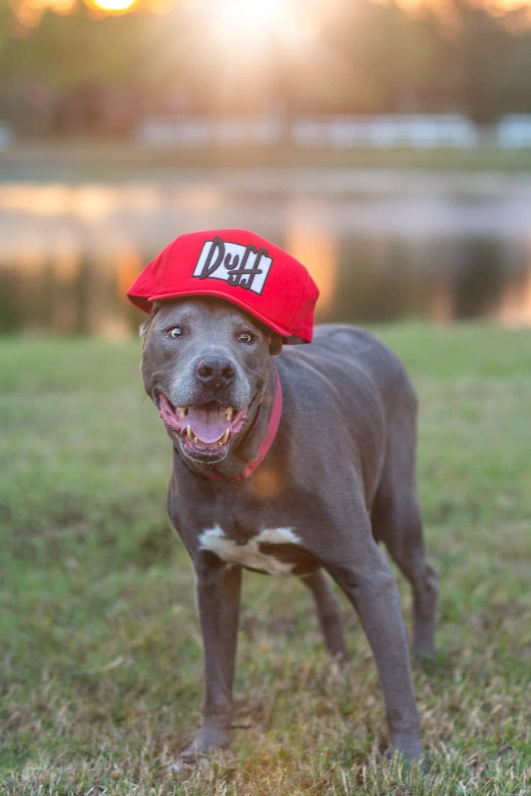 2nd Chance Ranch and Rescue Inc