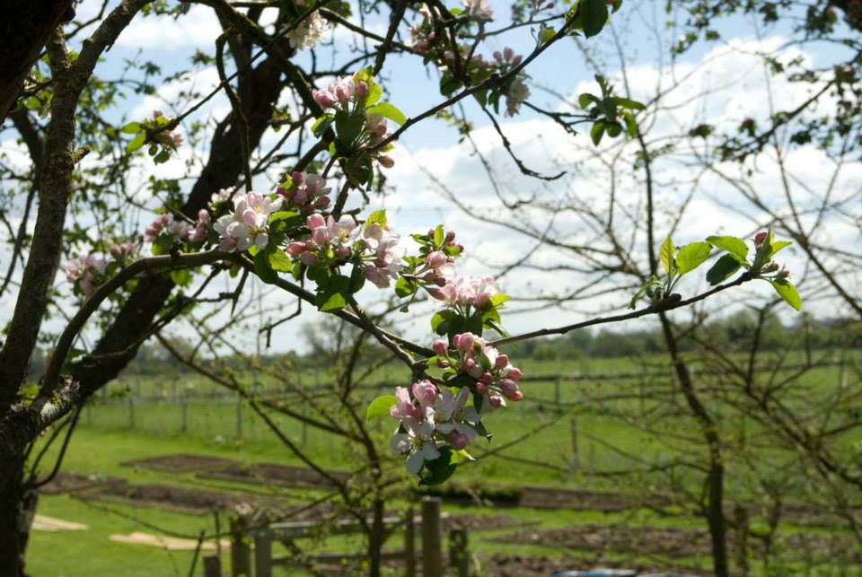 Whaddon Grove Farm | Trowbridge