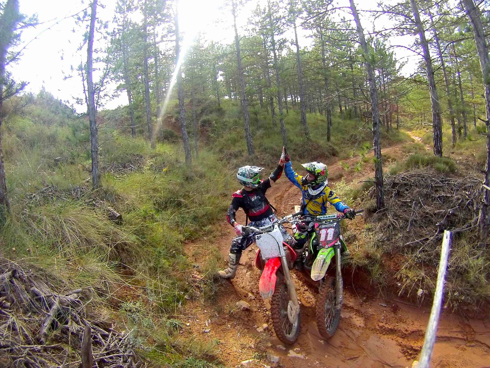 Only Racing