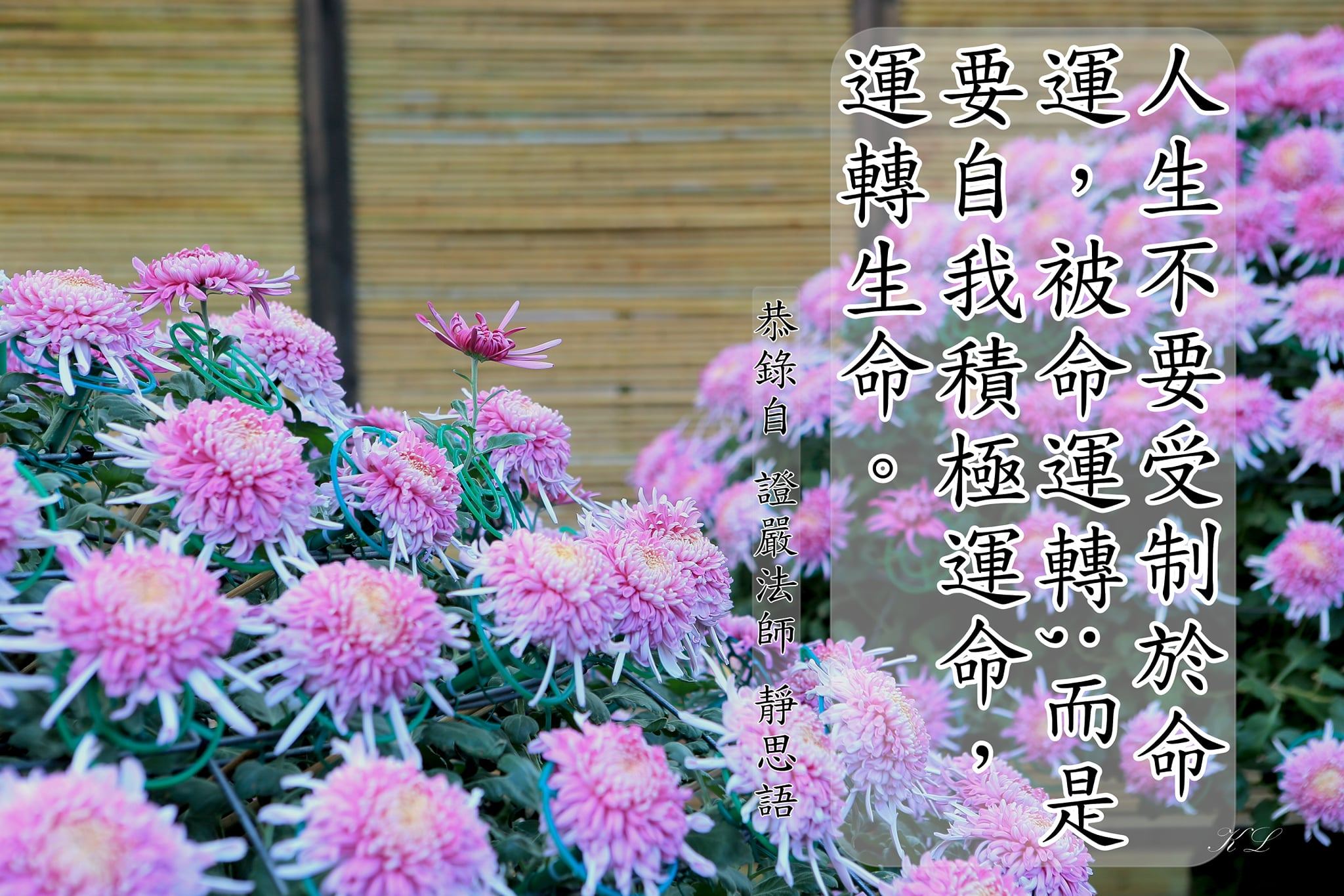 員林慈濟家族 - 人生不要受制於命運，被命運轉； 而是要自我積極運命，運轉生命。 恭錄自 證嚴法師 靜思語 | Facebook