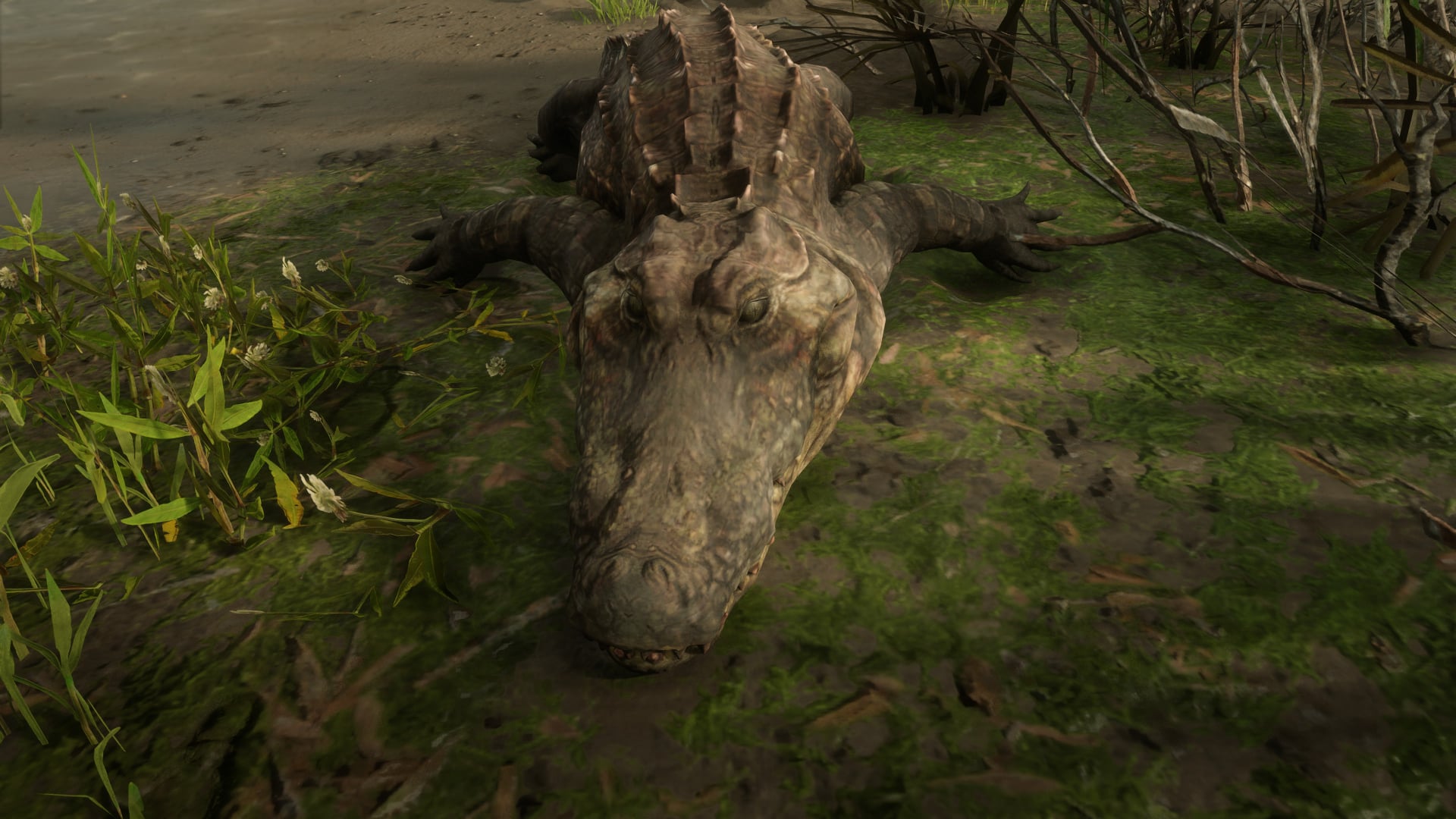 Nerd - Look at the beast I killed. #RDR2 #RedDeadRedemtion2 # ...