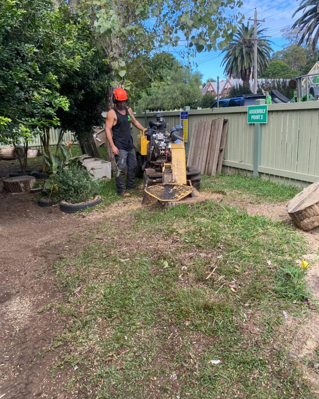 Murphy’s Tree & Stump Service