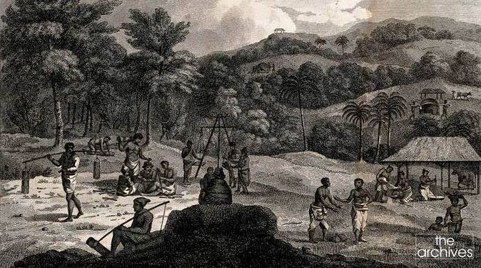Tupik - Spicy History of Ceylon Cinnamon... Historically, Ceylon ...