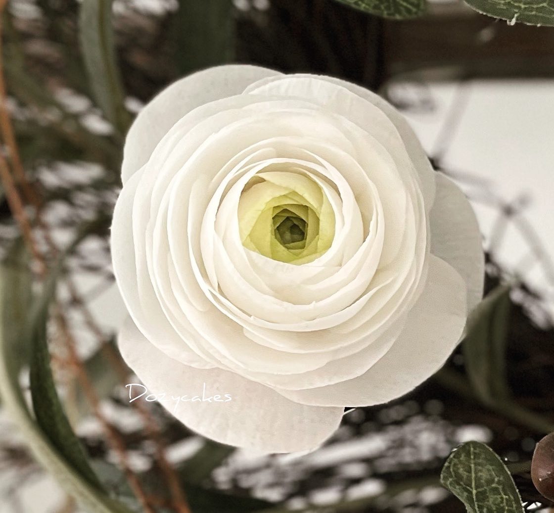 Dozycakes - Wafer paper Ranunculus. #waferpaperflowers #waferpaper # ...