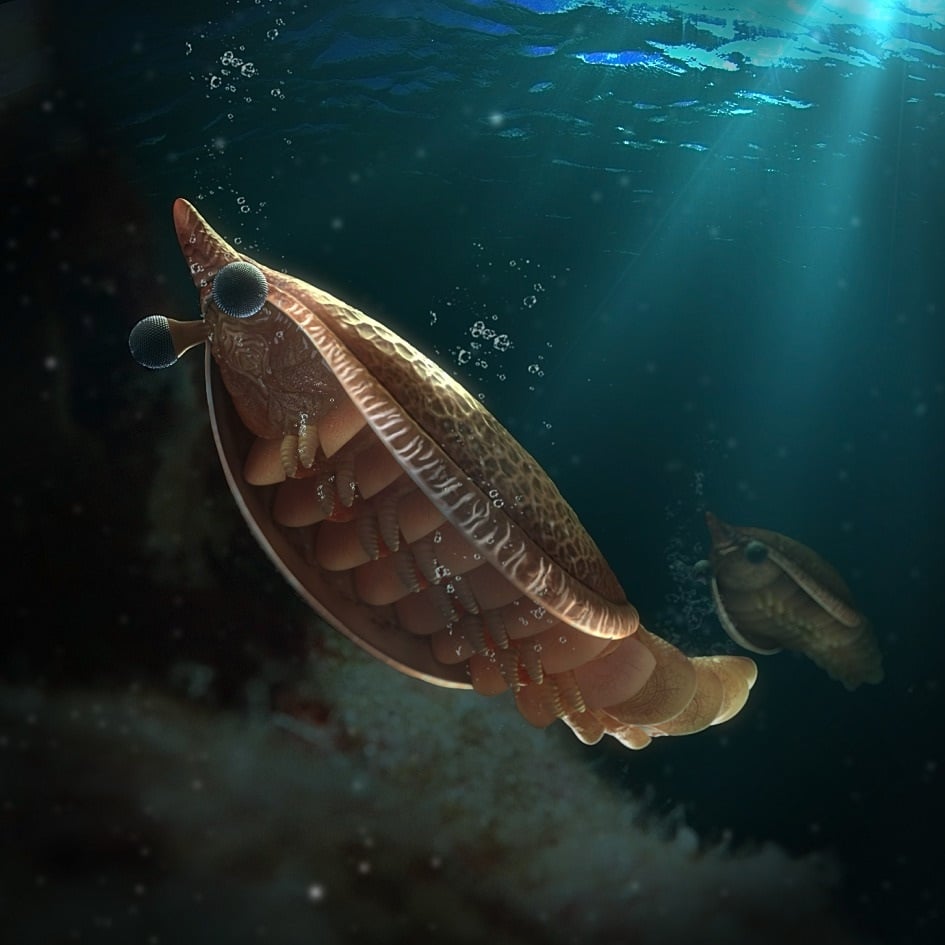 Guangweicaris spinatus, an early arthropod, in the Cambrian ocean