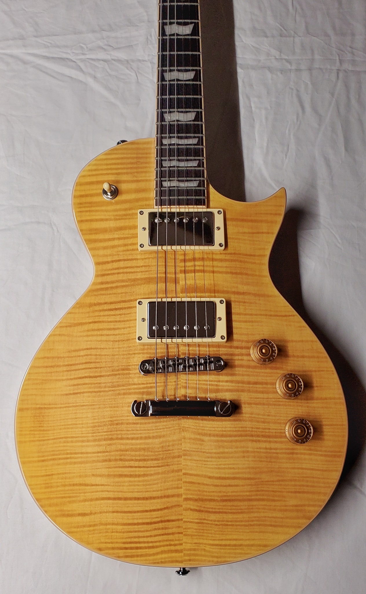 Arch Rivals Guitar Outlet | Princeton IN