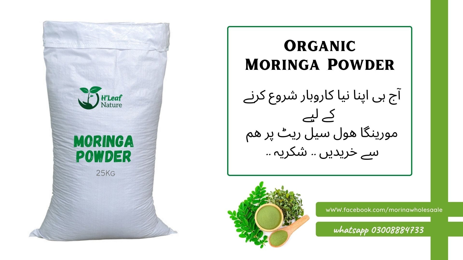 Moringa WholeSale - سہانجنا | Lahore