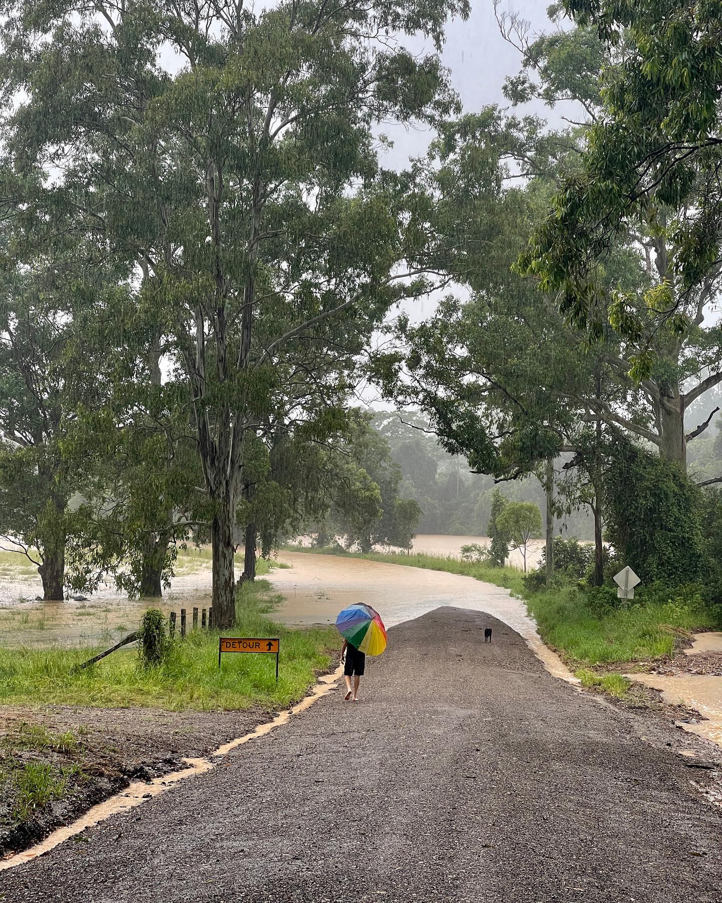 Naturally Kin Kin | Sunshine Coast QLD