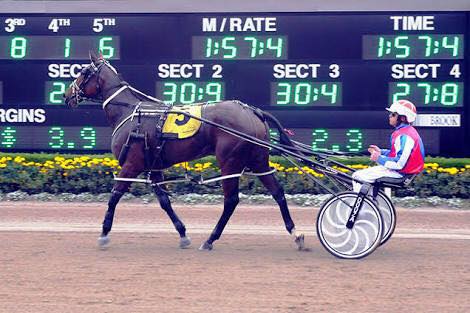 Harness Racing Victoria - THIS IS GOING TO BE FUN! The pressure will be ...