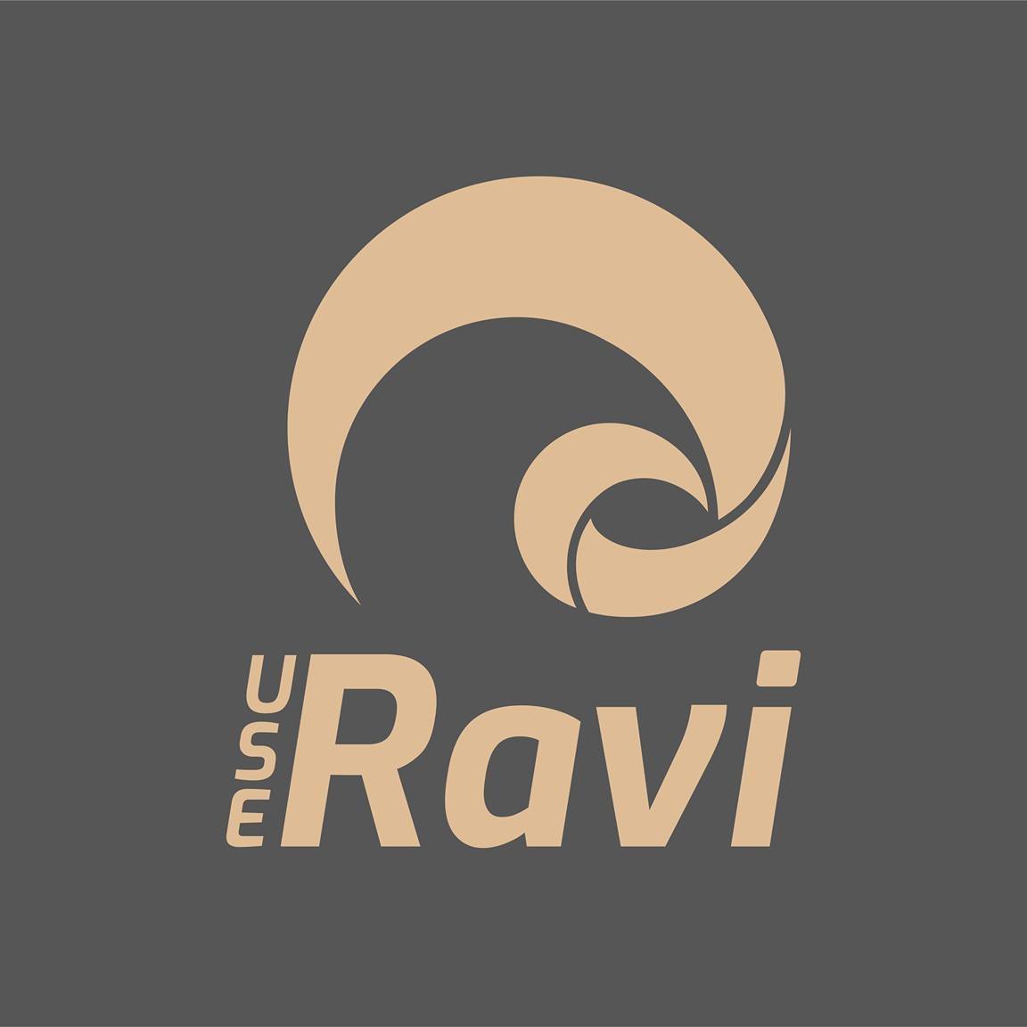 Ravi - Vamos curtir o ano-novo porque em 2021 a Ravi chega a todo vapor ...