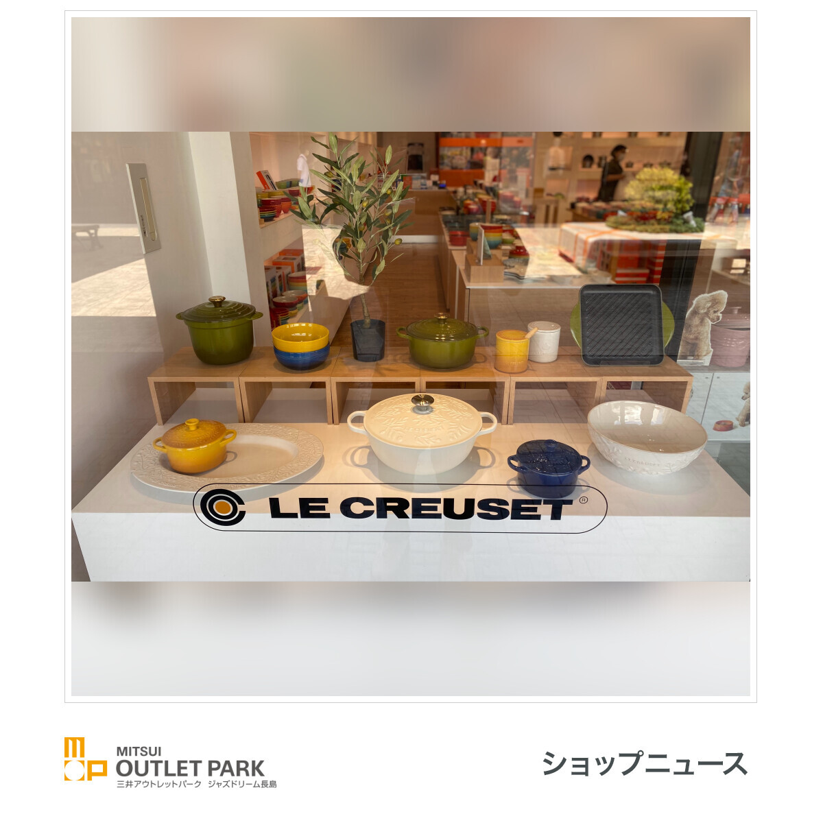 オリーブブランチ ルクルーゼ アウトレット ルクルーゼ ソーシエ