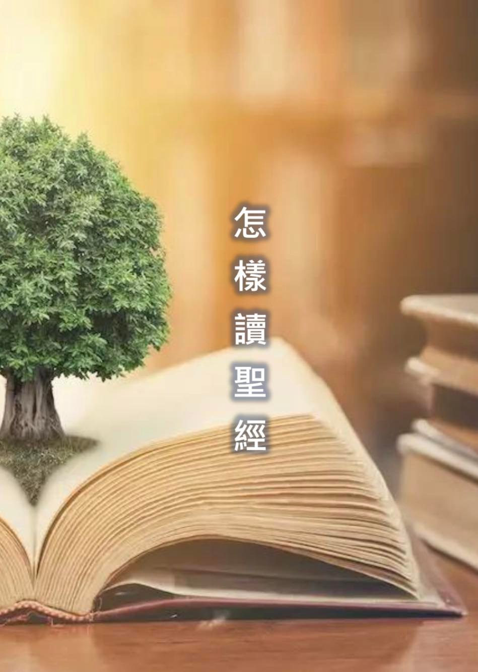 基要書室 - 聖經對我們是非常重要的，基督徒的信仰生活及一切都應當根據聖經。聖經最長的一篇是詩篇119篇，這篇詩是論及神的話語—聖經，其中有 ...