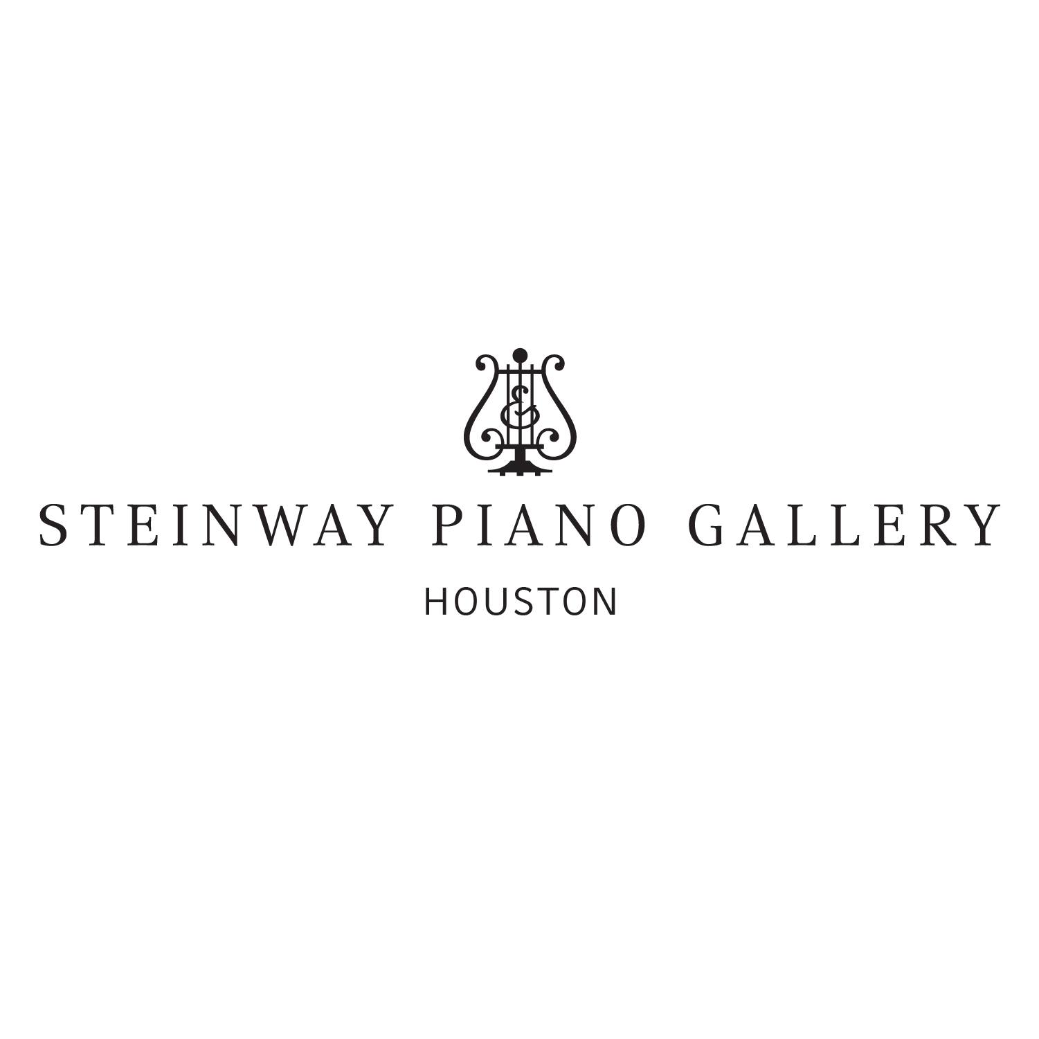 Steinway Piano Gallery of Houston - PostModern Traditions rug with ...