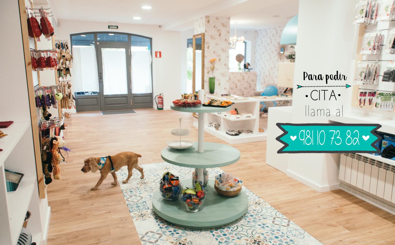 Baraka Animal - Boutique Peluquería Canina & Spa