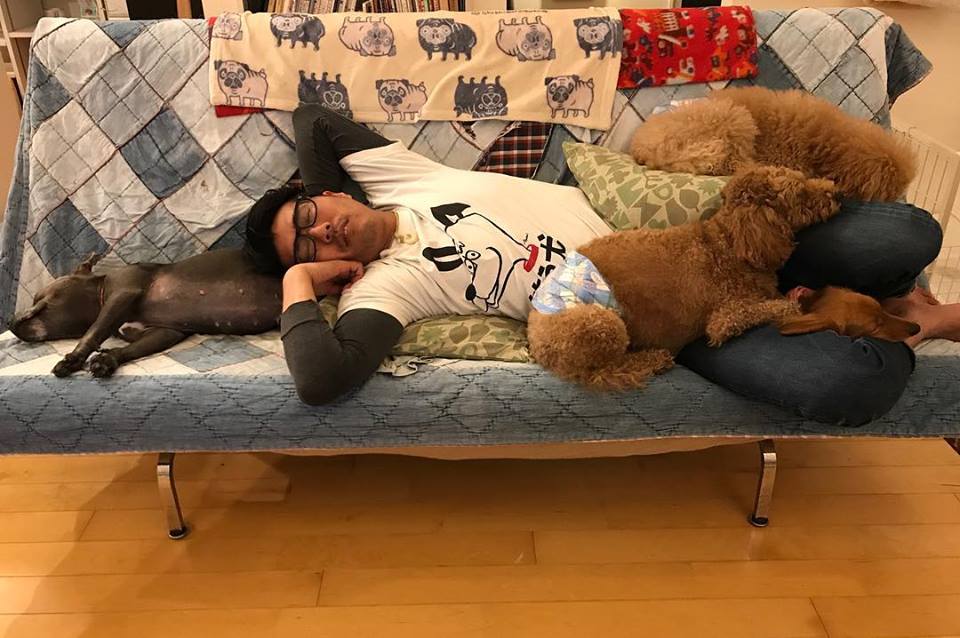 笑う犬 Dog Daycare, Hotel & Seitai | Fujisawa-shi Kanagawa