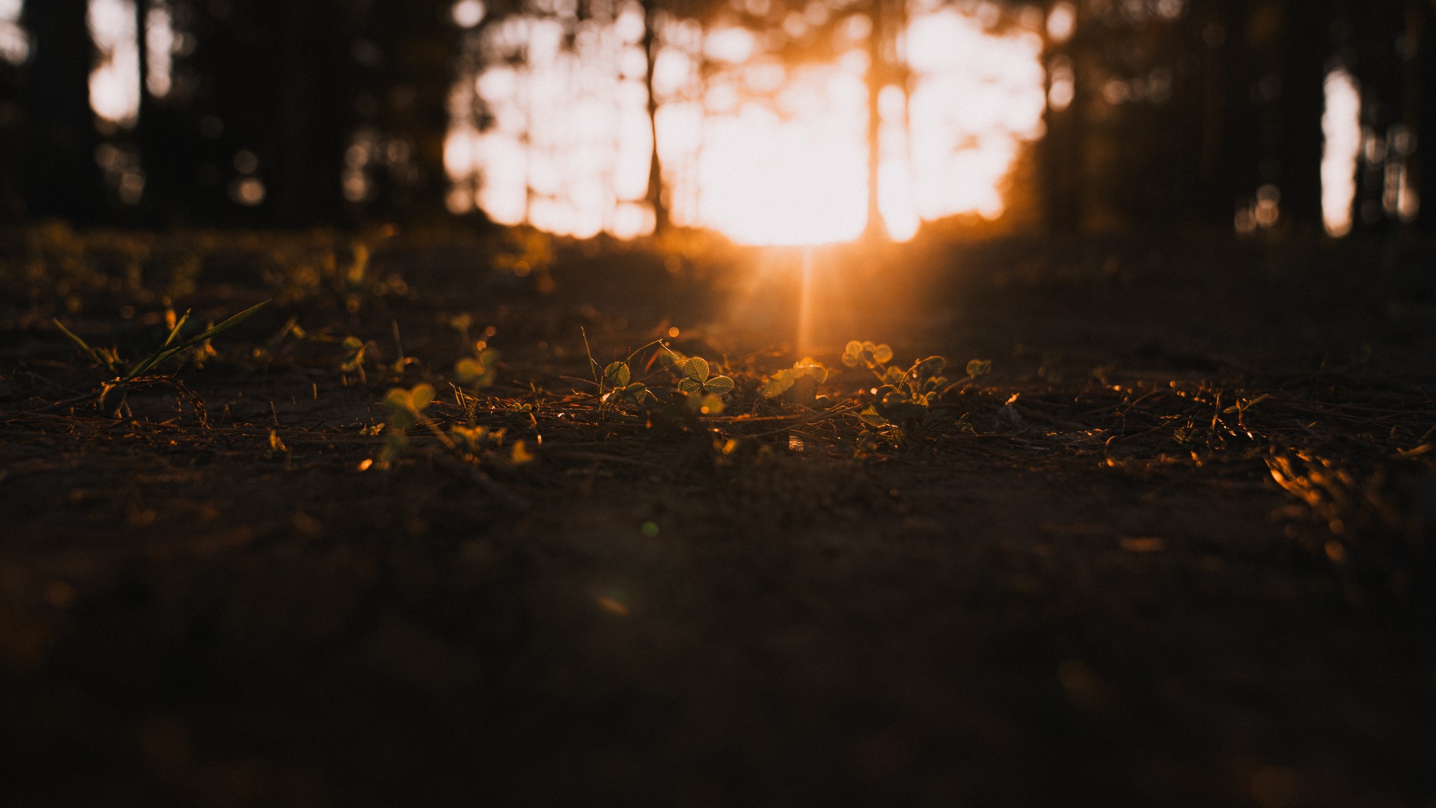 House of Prayer Church and Campground | Tenaha TX