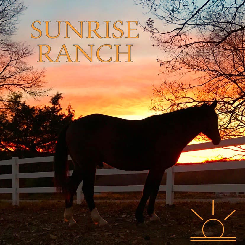 Morning Sun Ranch updated their cover... - Morning Sun Ranch