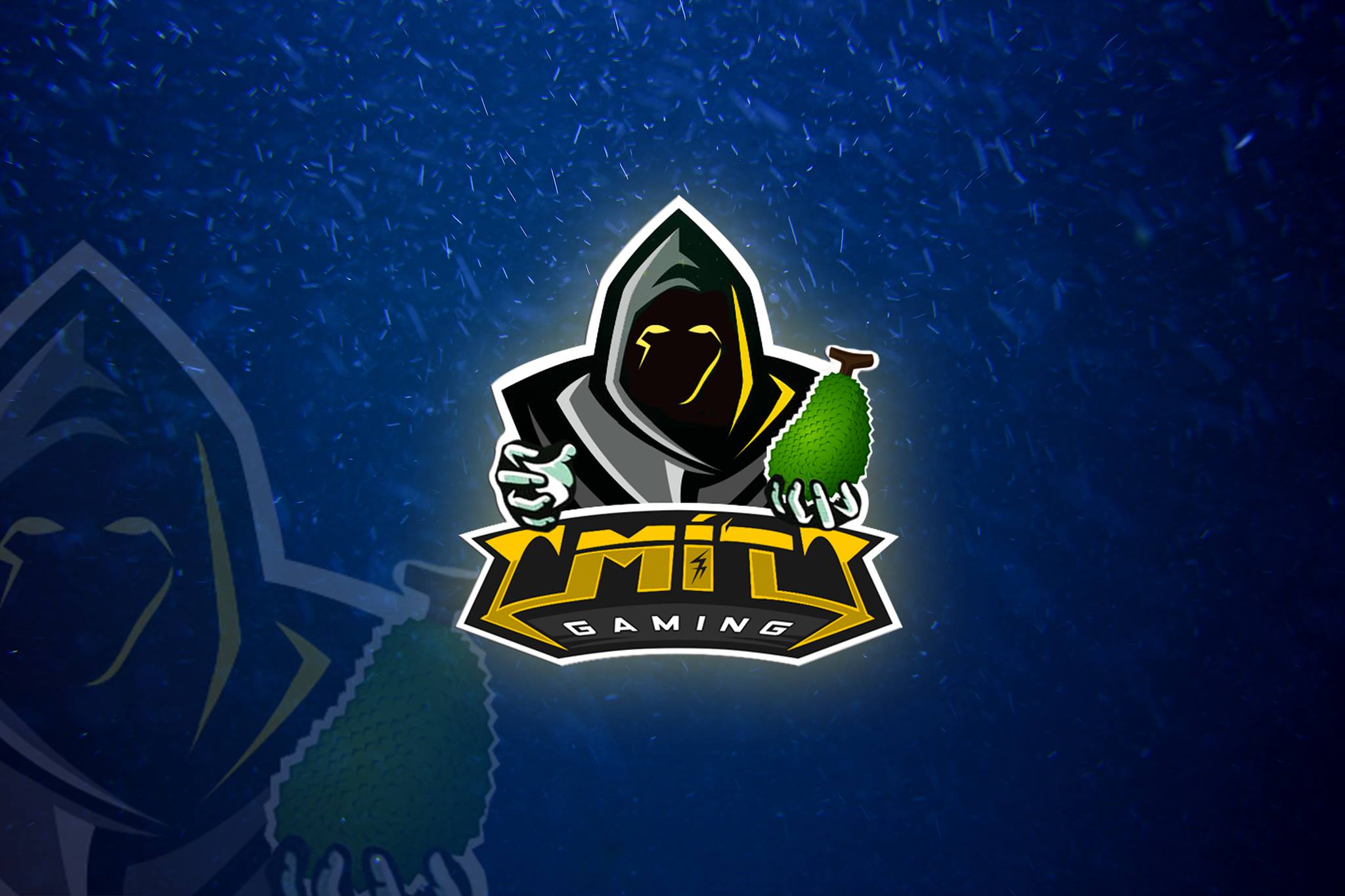 Mít Gaming